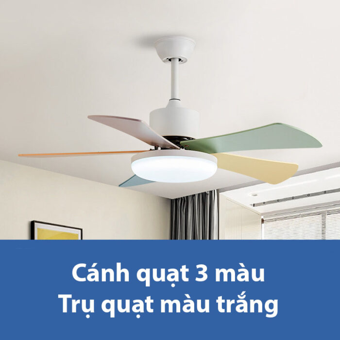 Quạt trần đèn cánh 3 màu decor phòng khách F228 | Flexdecor VN | 2