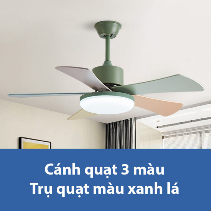 Quạt trần đèn cánh 3 màu decor phòng khách F228 | Flexdecor VN | 3