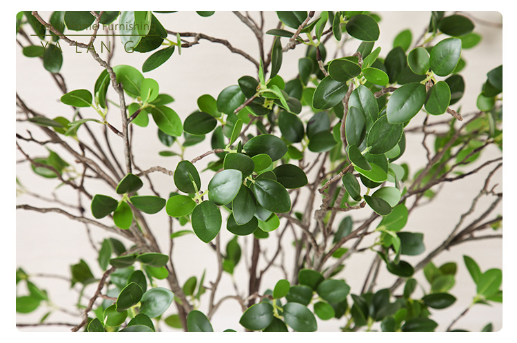 Cành Ficus malacocarpa phụ kiện cắm hoa HNT8853 | Flexdecor VN | 9