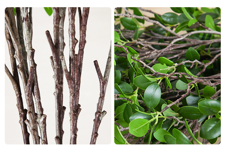 Cành Ficus malacocarpa phụ kiện cắm hoa HNT8853 | Flexdecor VN | 11