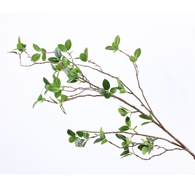 Cành Ficus malacocarpa phụ kiện cắm hoa HNT8853 | Flexdecor VN | 13