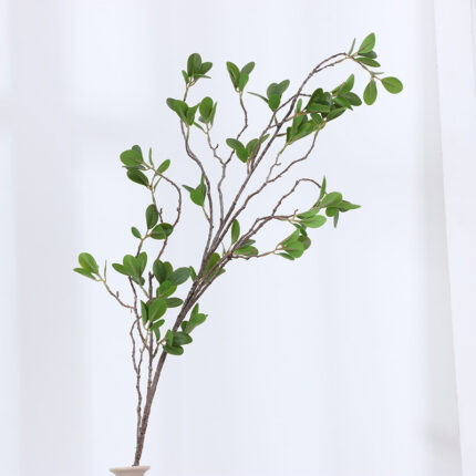 Cành Ficus malacocarpa phụ kiện cắm hoa HNT8853