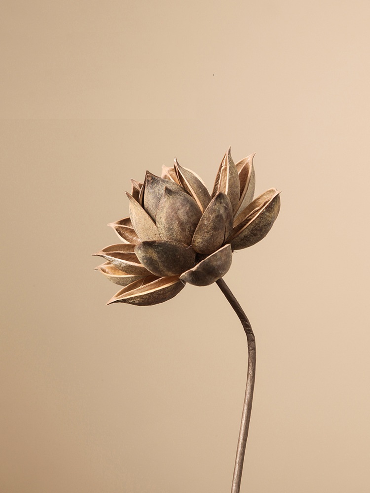 Hoa khô tự nhiên trang trí phòng khách BHM7358A | Flexdecor VN | 21
