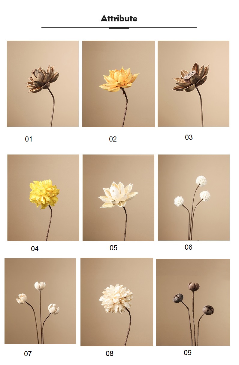 Hoa khô tự nhiên trang trí phòng khách BHM7358A | Flexdecor VN | 15