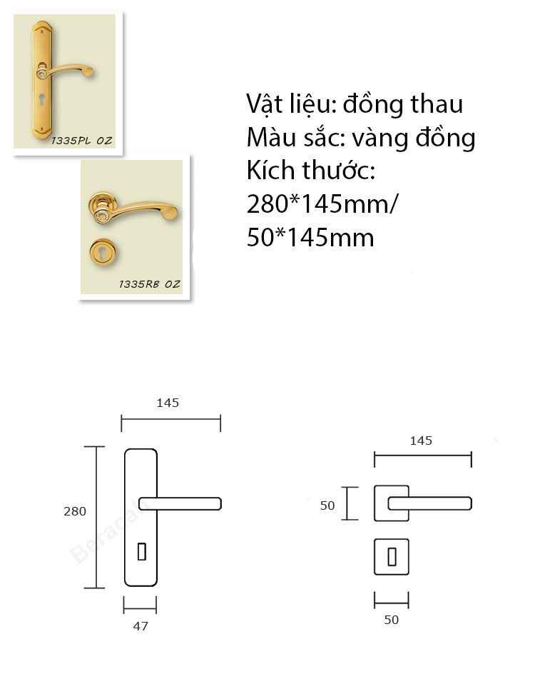 Khóa cửa gỗ hiện đại vàng đồng phong cách Italy BRC-1335 | Flexdecor VN | 5
