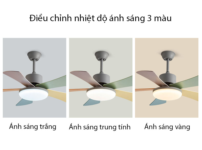 Quạt trần đèn cánh 3 màu decor phòng khách F228 | Flexdecor VN | 11
