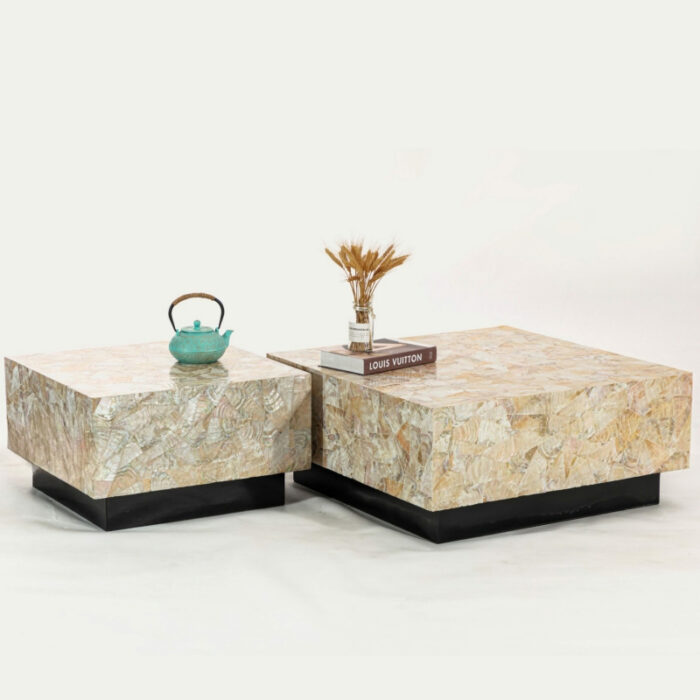 Bàn cà phê gỗ khảm xà cừ hình vuông thanh lịch LPS01 | Flexdecor VN | 3