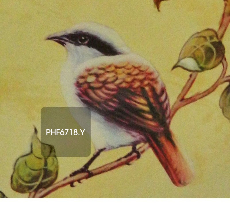 Đôn trang trí gốm sứ chim và hoa tinh tế PHF6718 | Flexdecor VN | 23