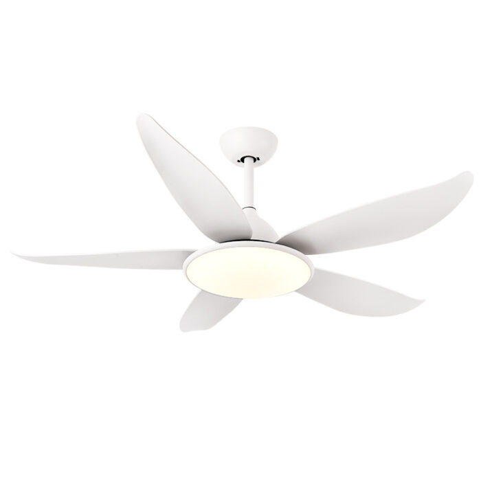 Quạt trần đèn góc rộng cánh cong hiện đại FDL4643 | Flexdecor VN | 5