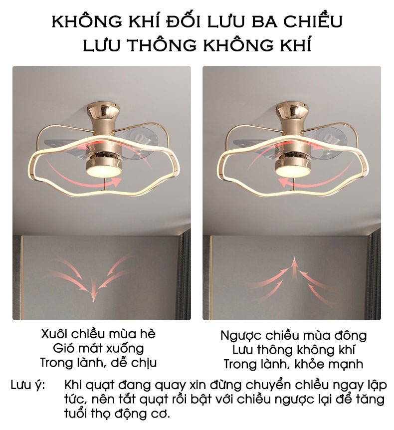 Quạt trần đèn trang trí khung lượn sóng ZHL6050 | Flexdecor VN | 4