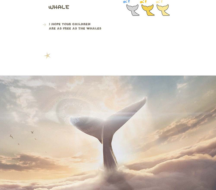 Núm tay nắm tủ đồng hình chú cá voi HUME87 | Flexdecor VN | 8