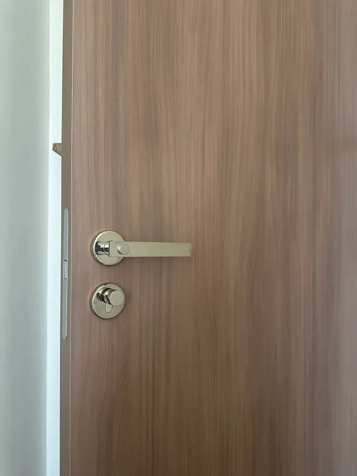 Khóa tay gạt đồng thau bạc Titan hiện đại TONA272 | Flexdecor VN | 29