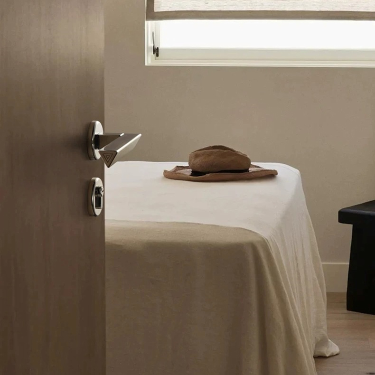 Khóa tay gạt đồng thau bạc Titan sáng tạo TONA875 | Flexdecor VN | 18